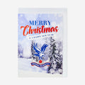 Merry Christmas & Happy New Year Card