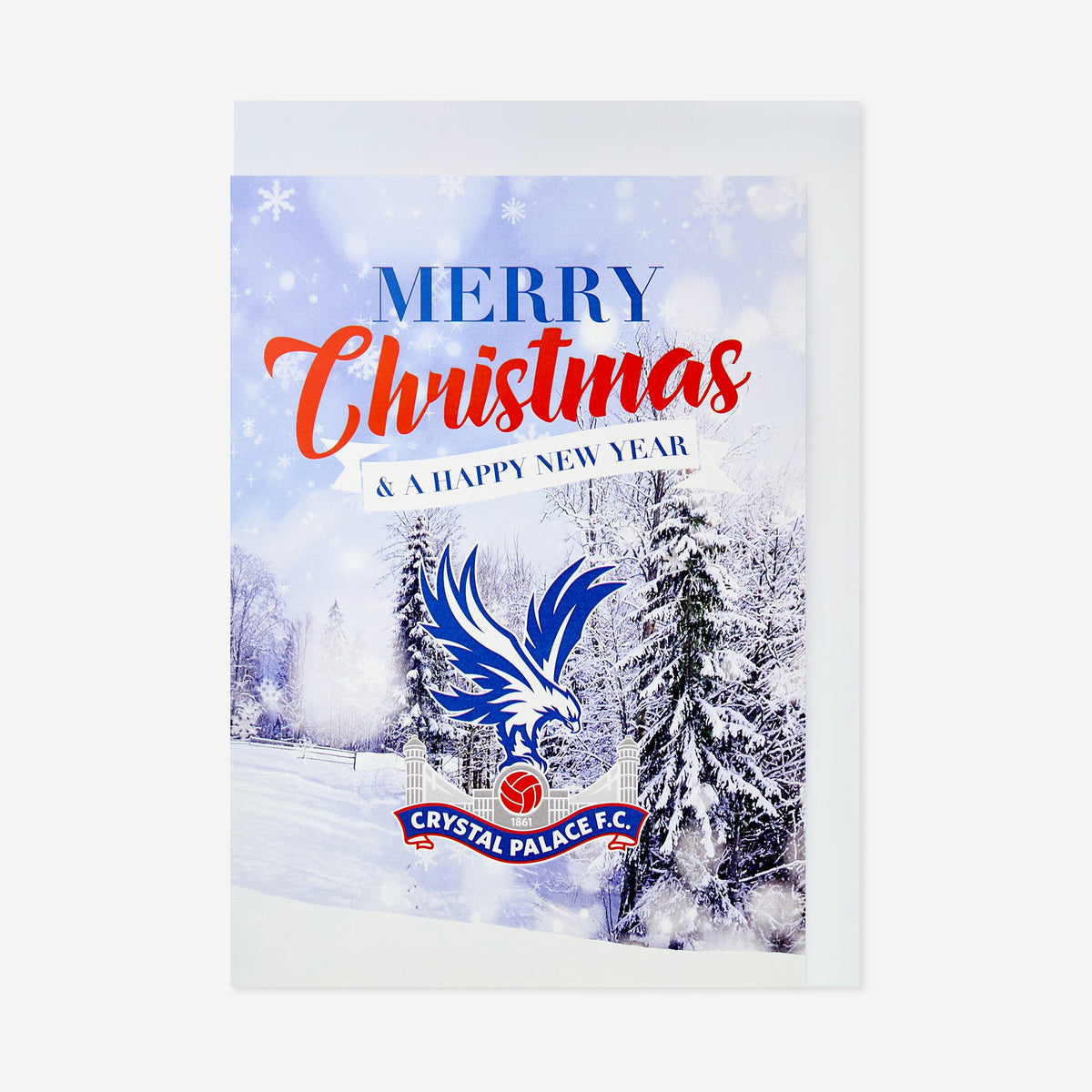 Merry Christmas & Happy New Year Card