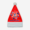 Merry Christmas Santa Hat