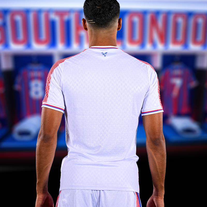 26/27 Eagle Sash Shirt back view