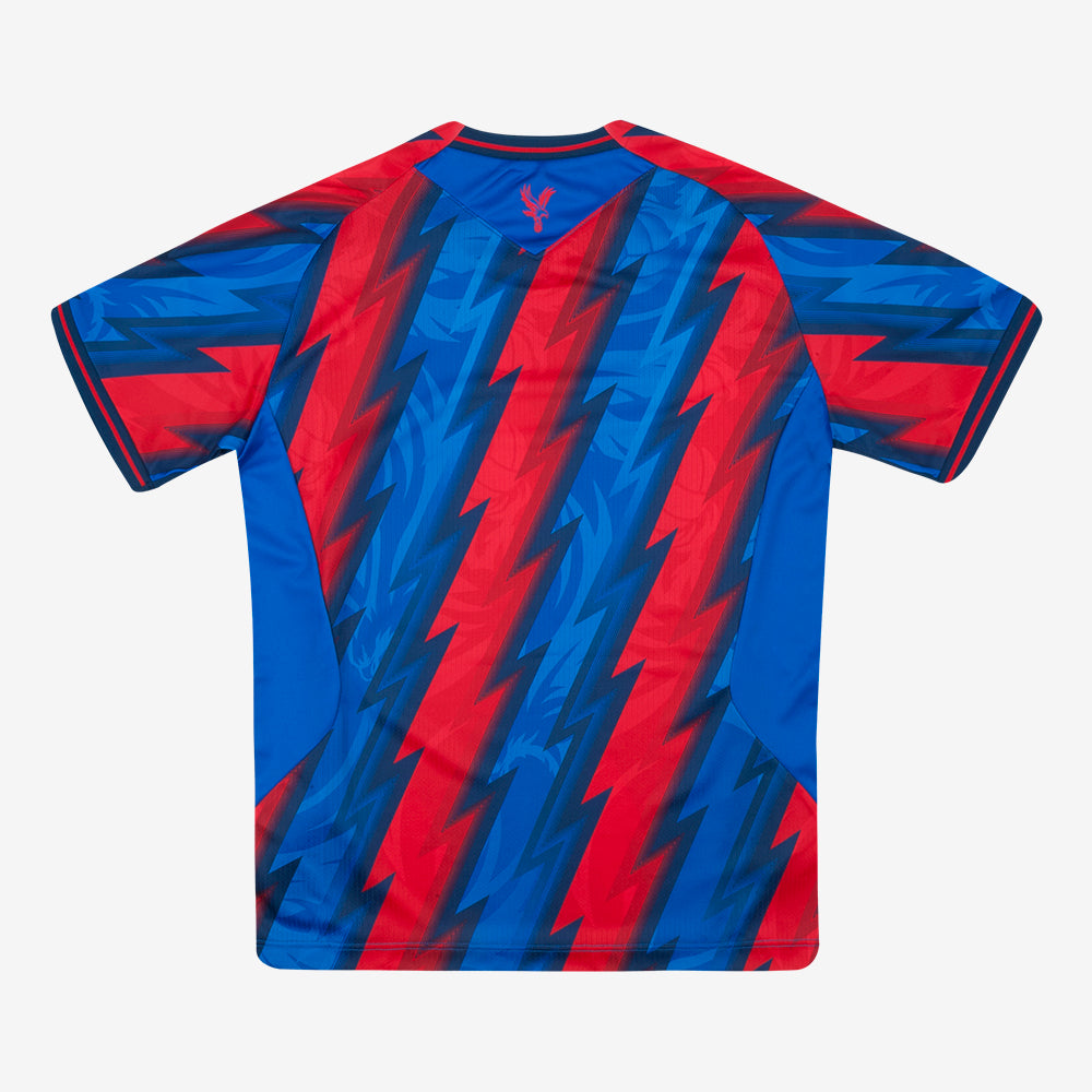 26/27 Eagle Wings Shirt Junior