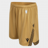 25/26 Eagle Gold Shorts Junior