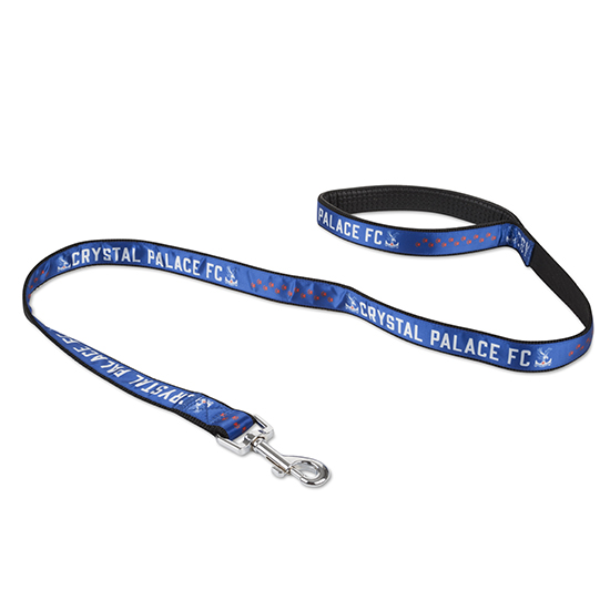 Red and Blue Dog Lead