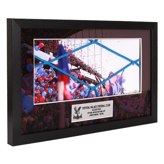 Holmesdale Limited Edition Goal Net Frame