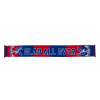Glad All Over Scarf