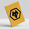 Wolves 24/25 Match Programme