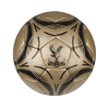 CPFC Size 5 Energise Football Gold