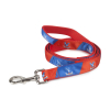 Red and Blue Dog Lead