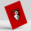 Bournemouth 25/26 Match Programme