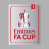 FA Cup Holders Sleeve Patch