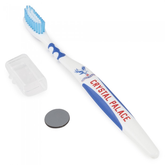 Logo Blue Toothbrush Adult
