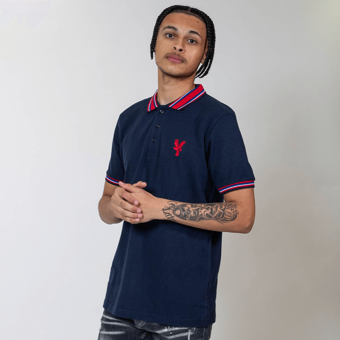 Eagle Stripe Collar Polo Shirt Navy